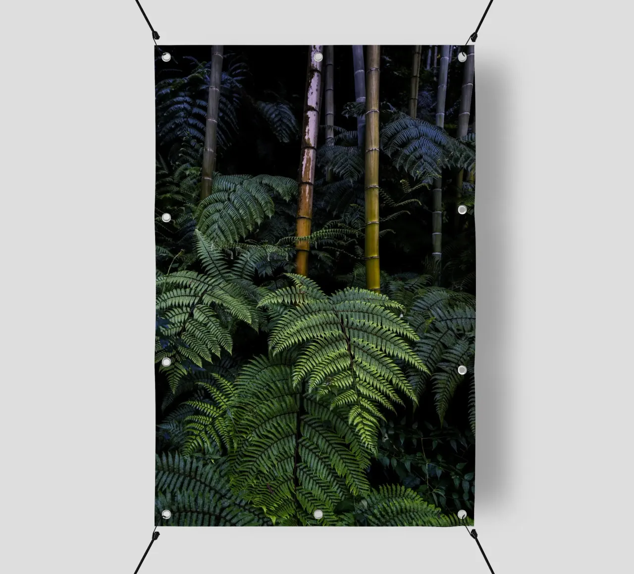 Bamboo forest telo in pvc da photolovers