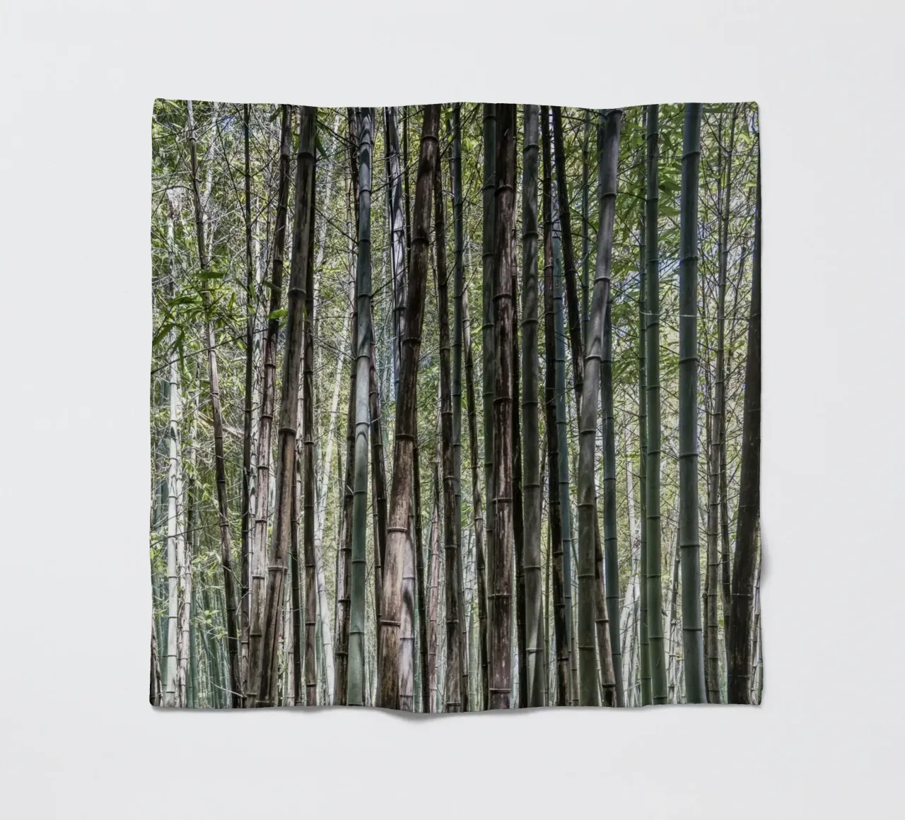 Shunan bamboo forest in China coperta in pile da photolovers