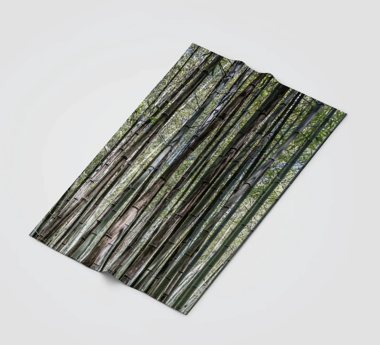 Shunan bamboo forest in China coperta in pile da photolovers