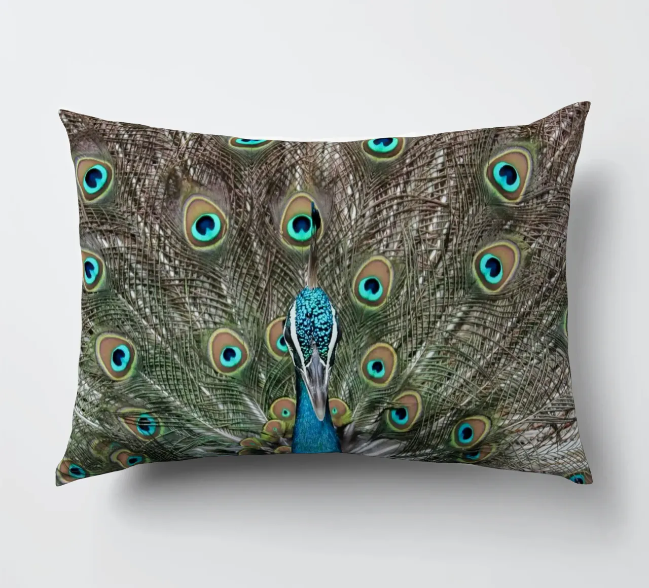 Peacock cuscino da photolovers