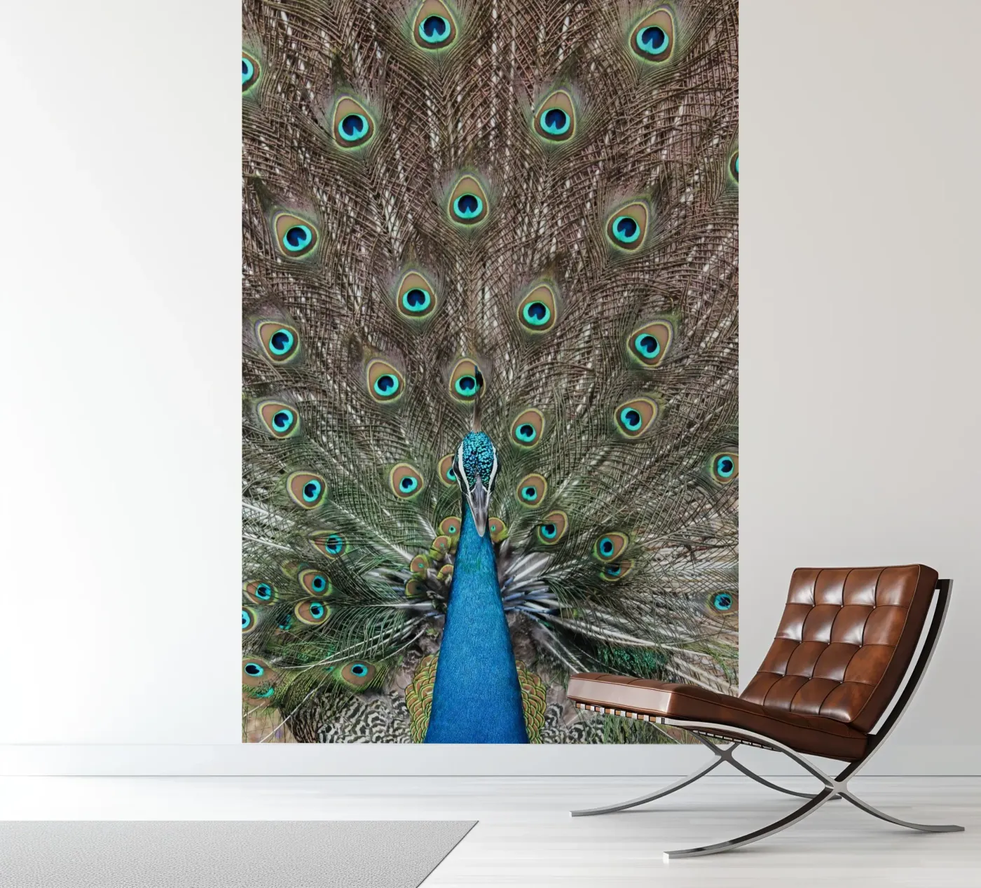 Peacock fotobehang van photolovers