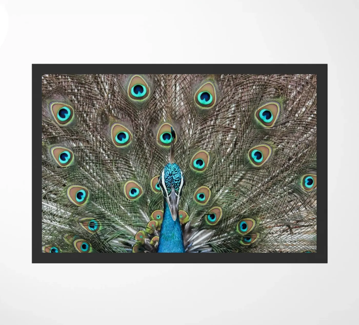 Peacock doormat by photolovers