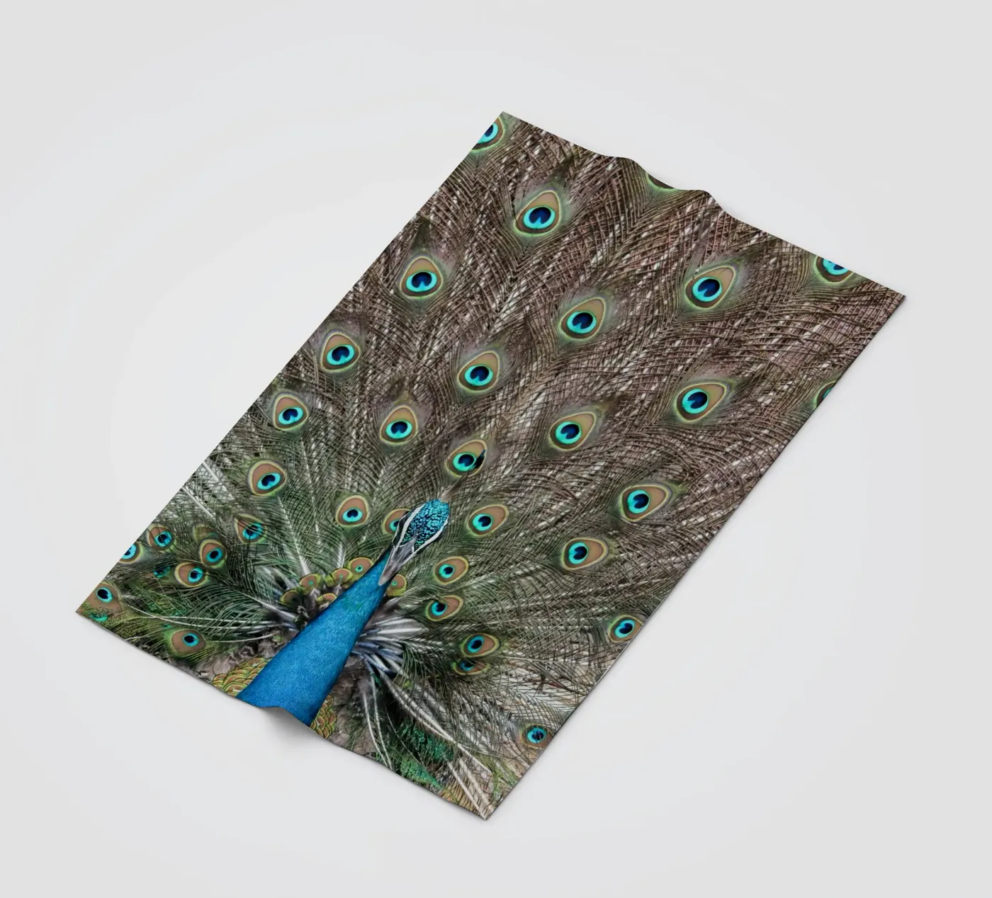 Peacock Fleecedecke von photolovers