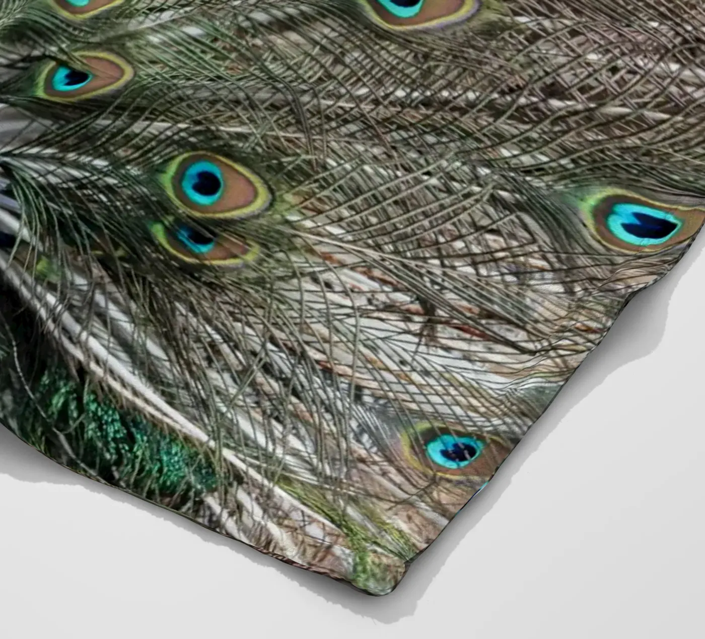Peacock Fleecedecke von photolovers
