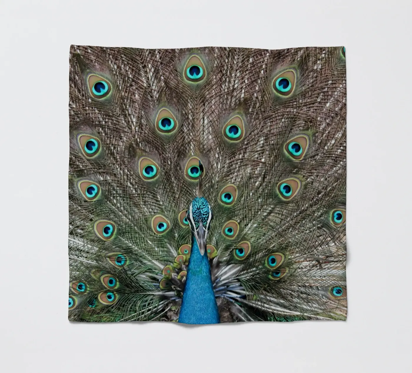 Peacock Fleecedecke von photolovers