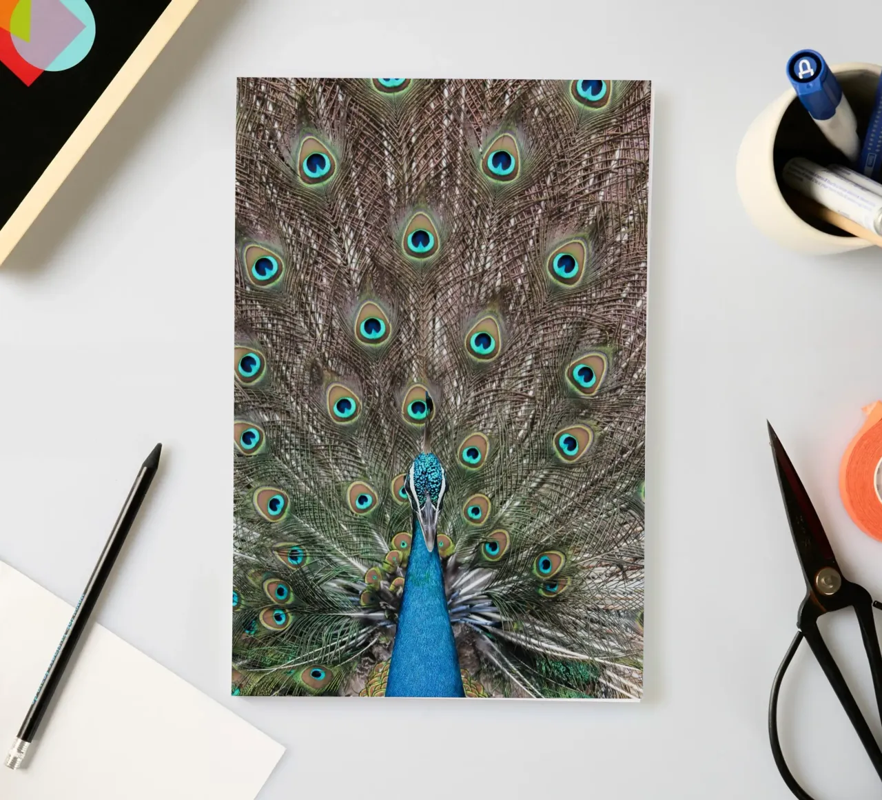 Peacock notebook by photolovers