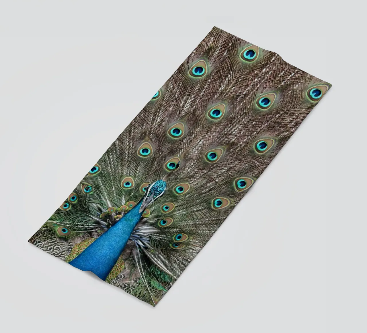 Peacock telo mare da photolovers