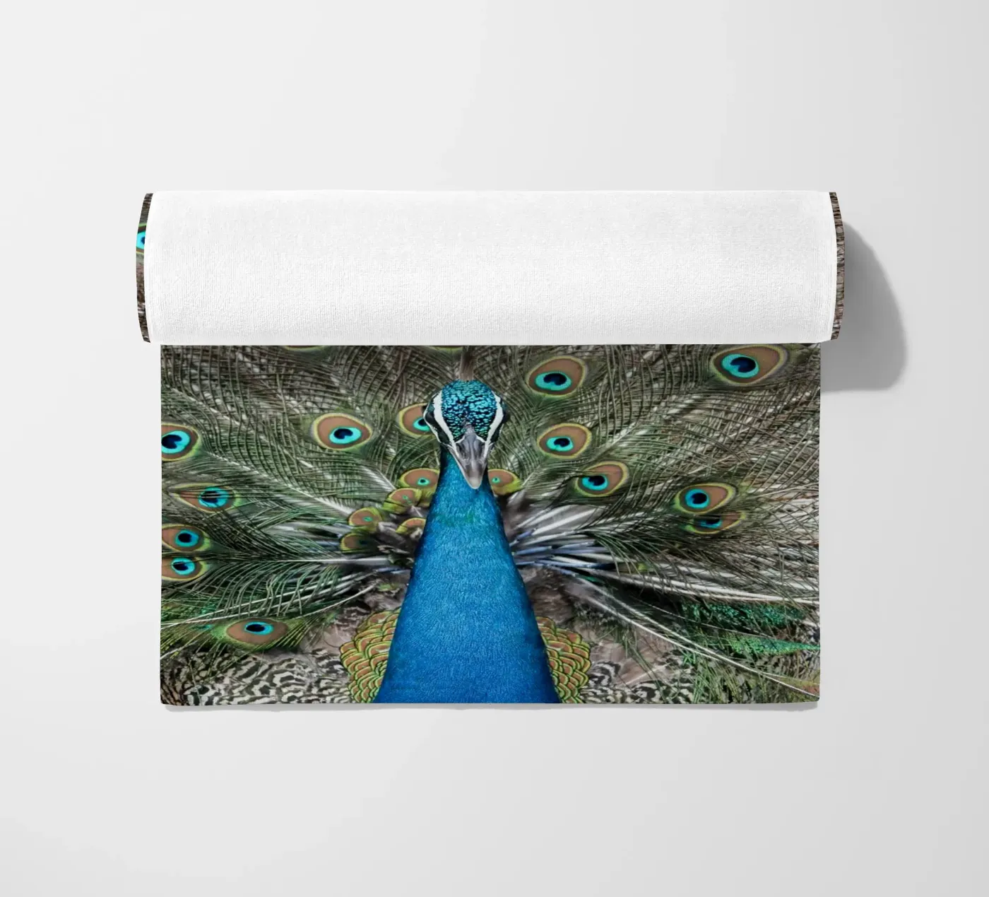 Peacock telo mare da photolovers