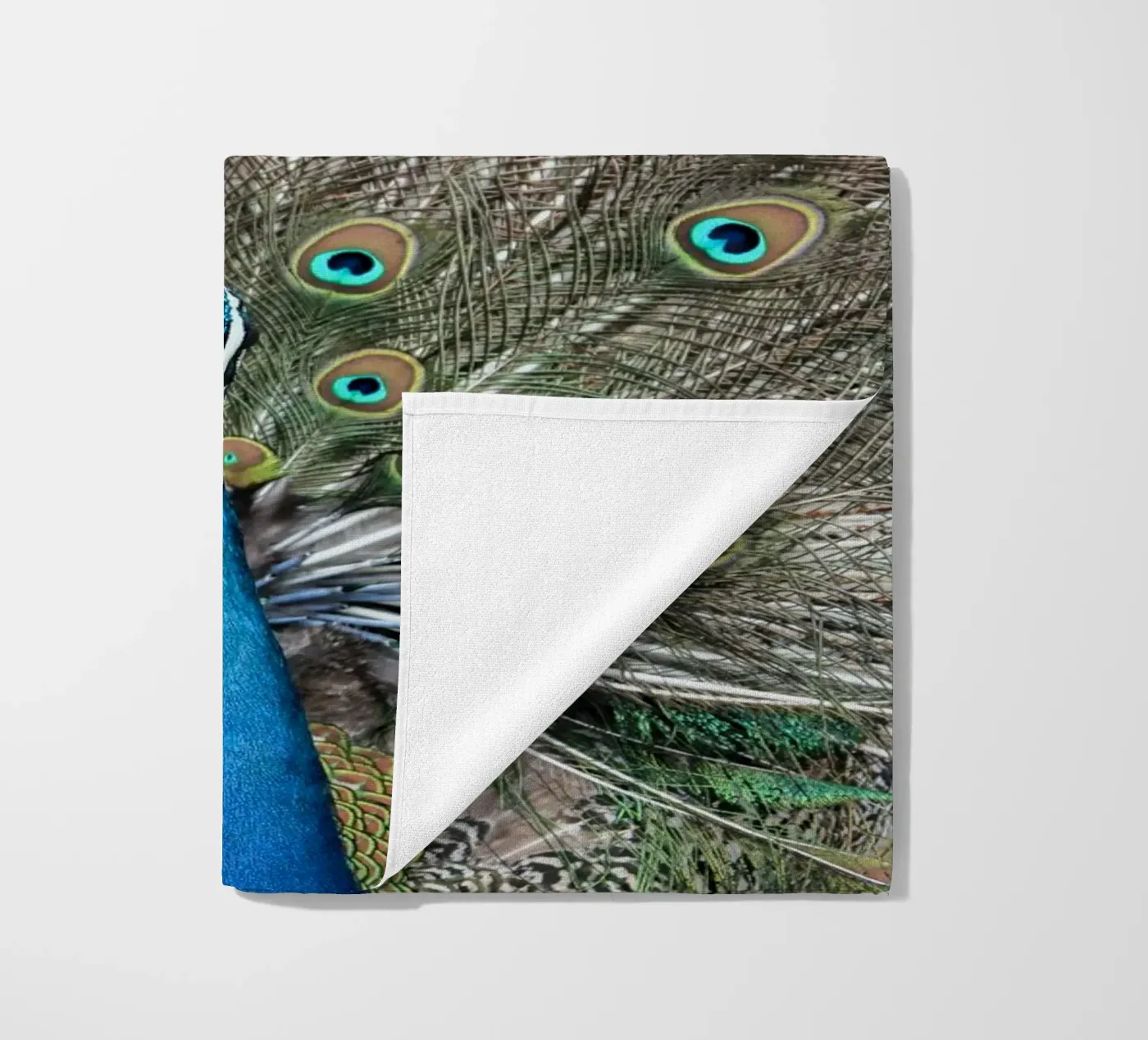 Peacock telo mare da photolovers