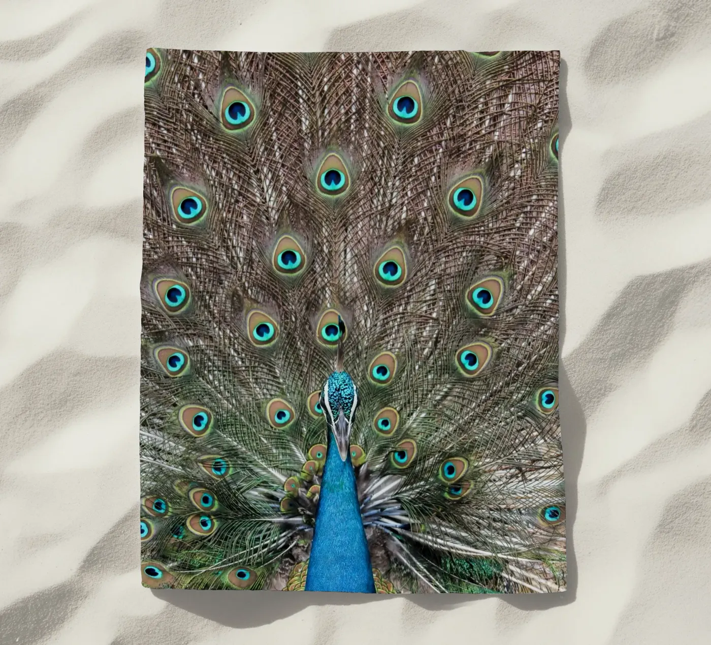 Peacock telo mare da photolovers