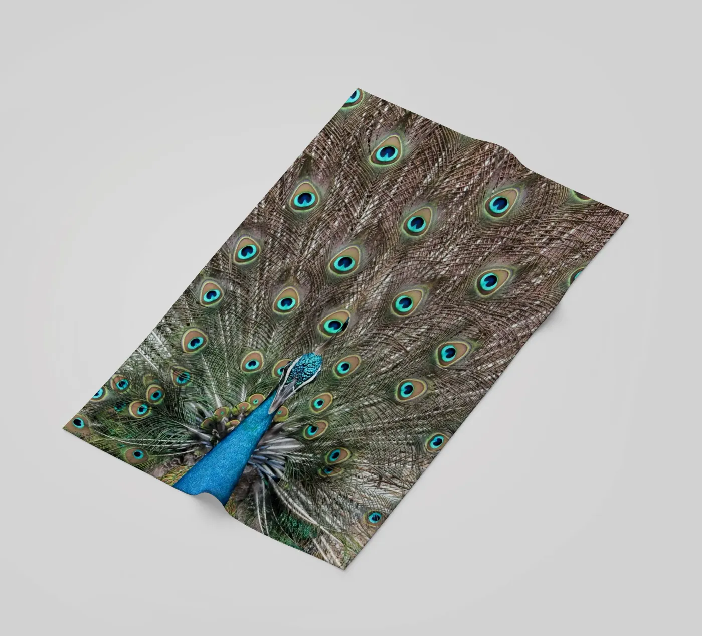 Peacock telo mare da photolovers