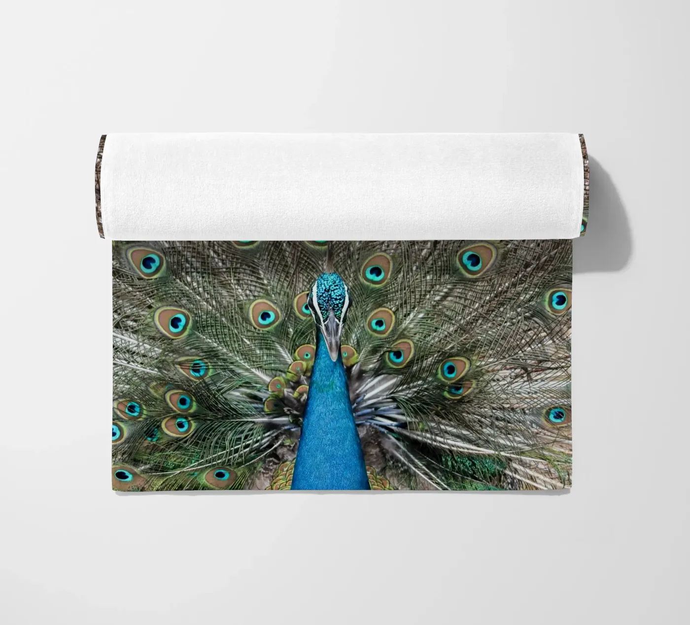 Peacock telo mare da photolovers