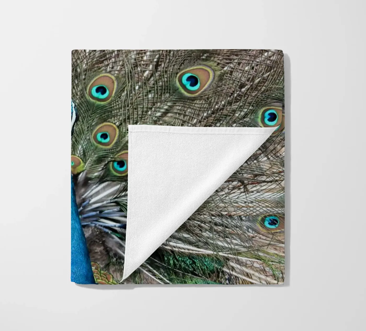 Peacock telo mare da photolovers