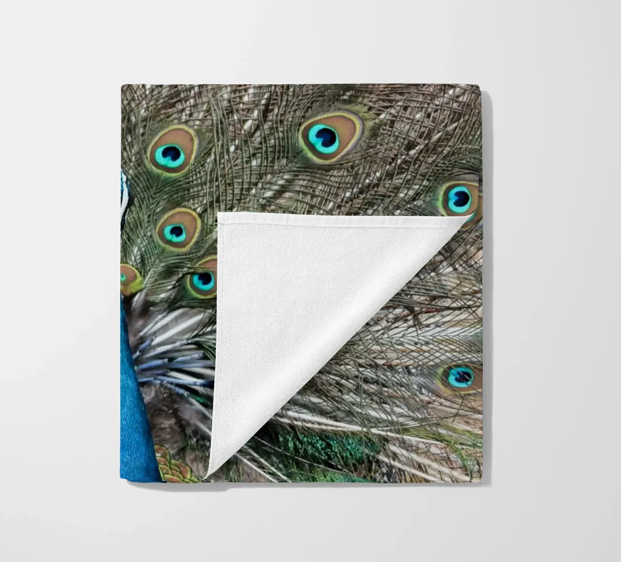 Peacock telo mare da photolovers