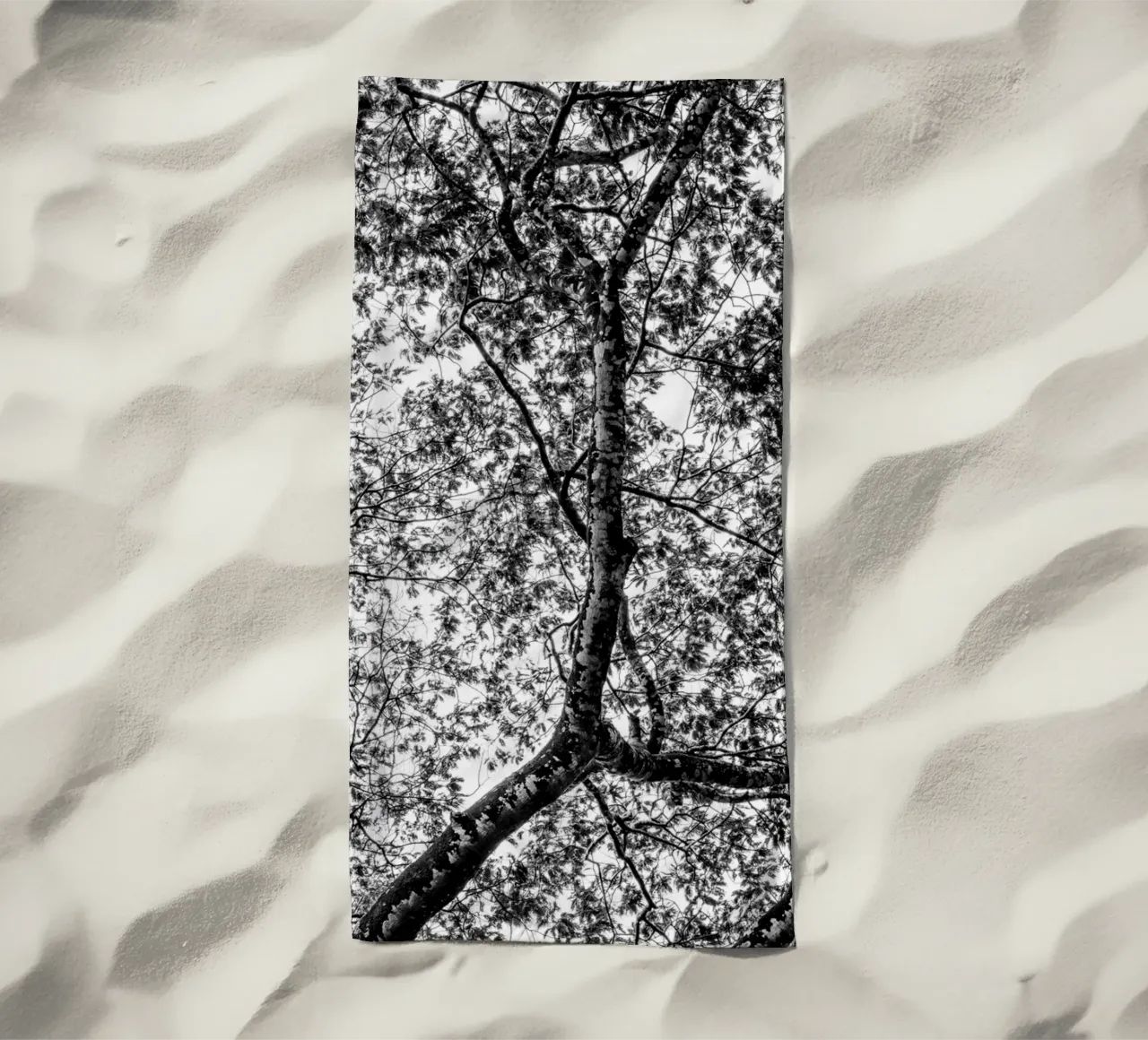 African tree telo mare da photolovers