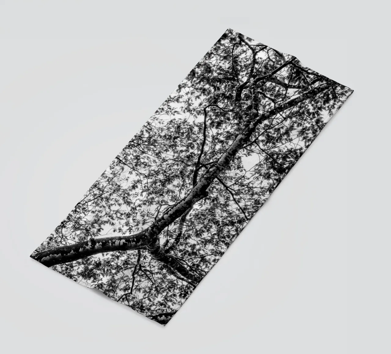 African tree telo mare da photolovers