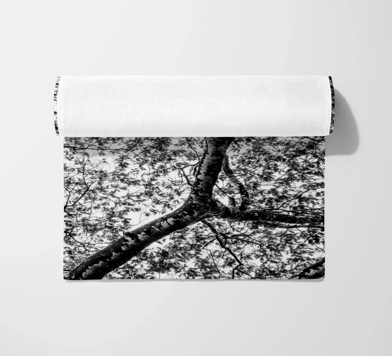 African tree telo mare da photolovers