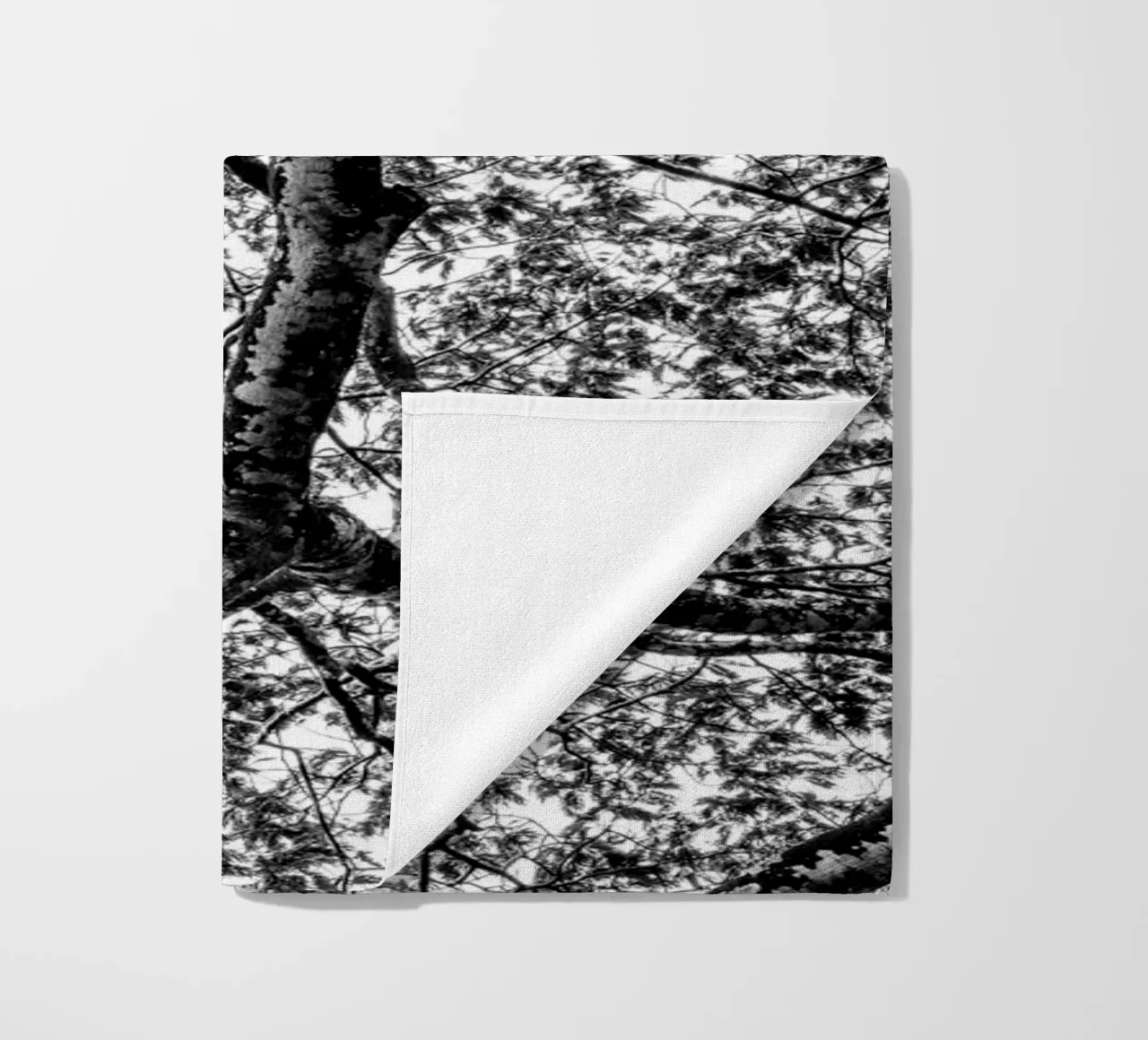 African tree telo mare da photolovers