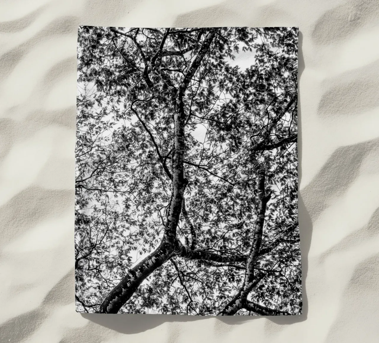 African tree telo mare da photolovers