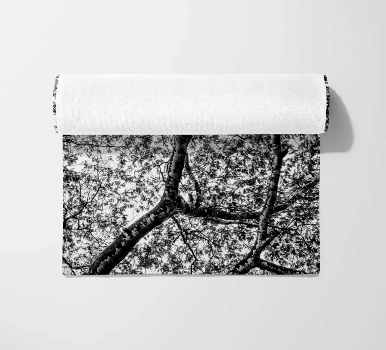 African tree telo mare da photolovers