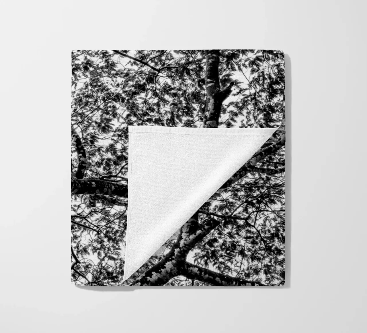 African tree telo mare da photolovers