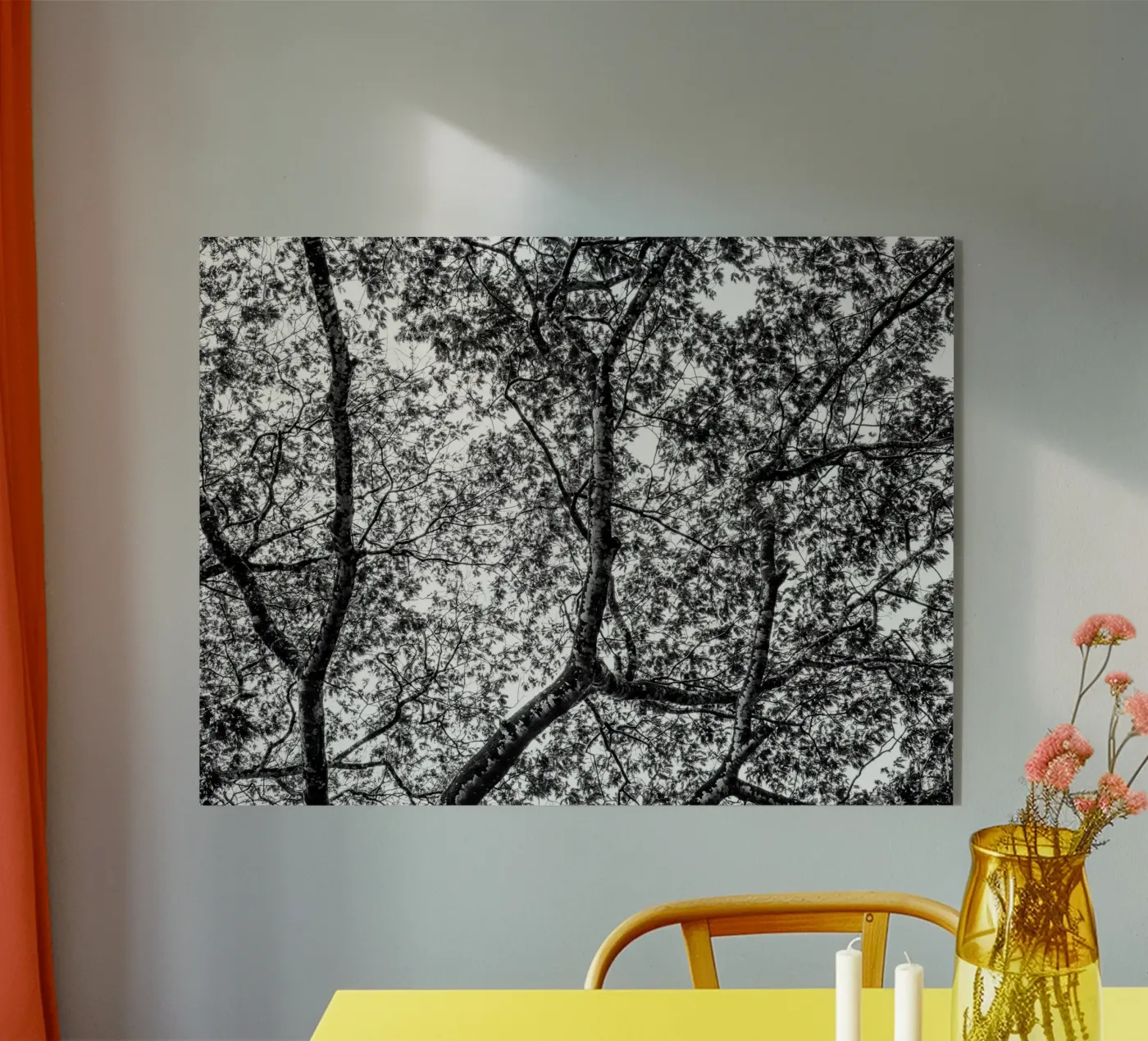 African tree plexiglas de photolovers