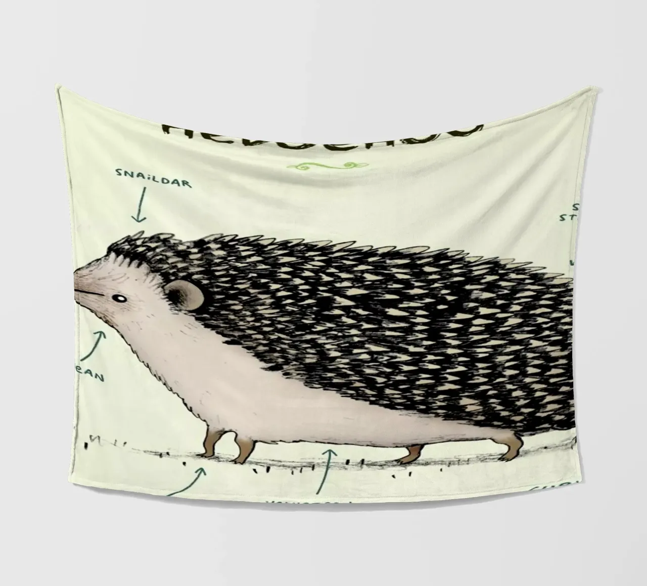 Anatomy Of A Hedgehog coperta in pile da Sophie Corrigan