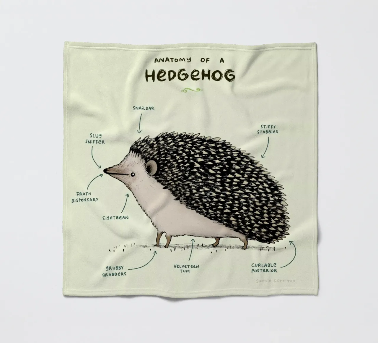 Anatomy Of A Hedgehog coperta in pile da Sophie Corrigan