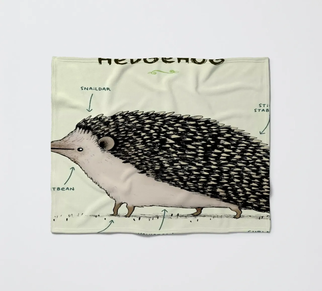 Anatomy Of A Hedgehog coperta in pile da Sophie Corrigan