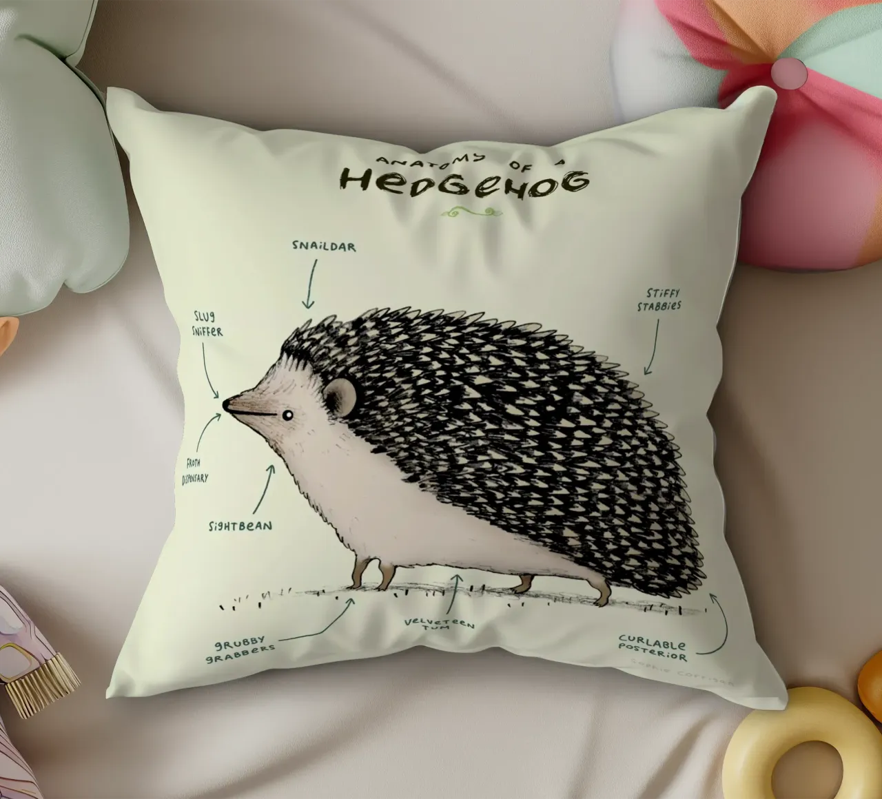 Anatomy Of A Hedgehog cuscino da Sophie Corrigan