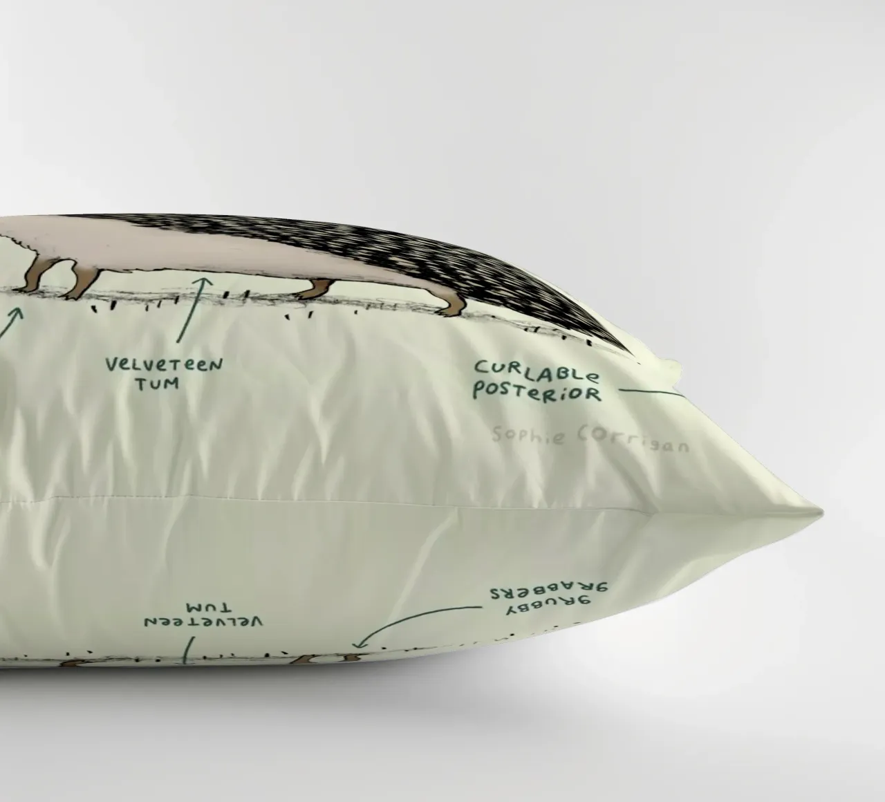 Anatomy Of A Hedgehog cuscino da Sophie Corrigan