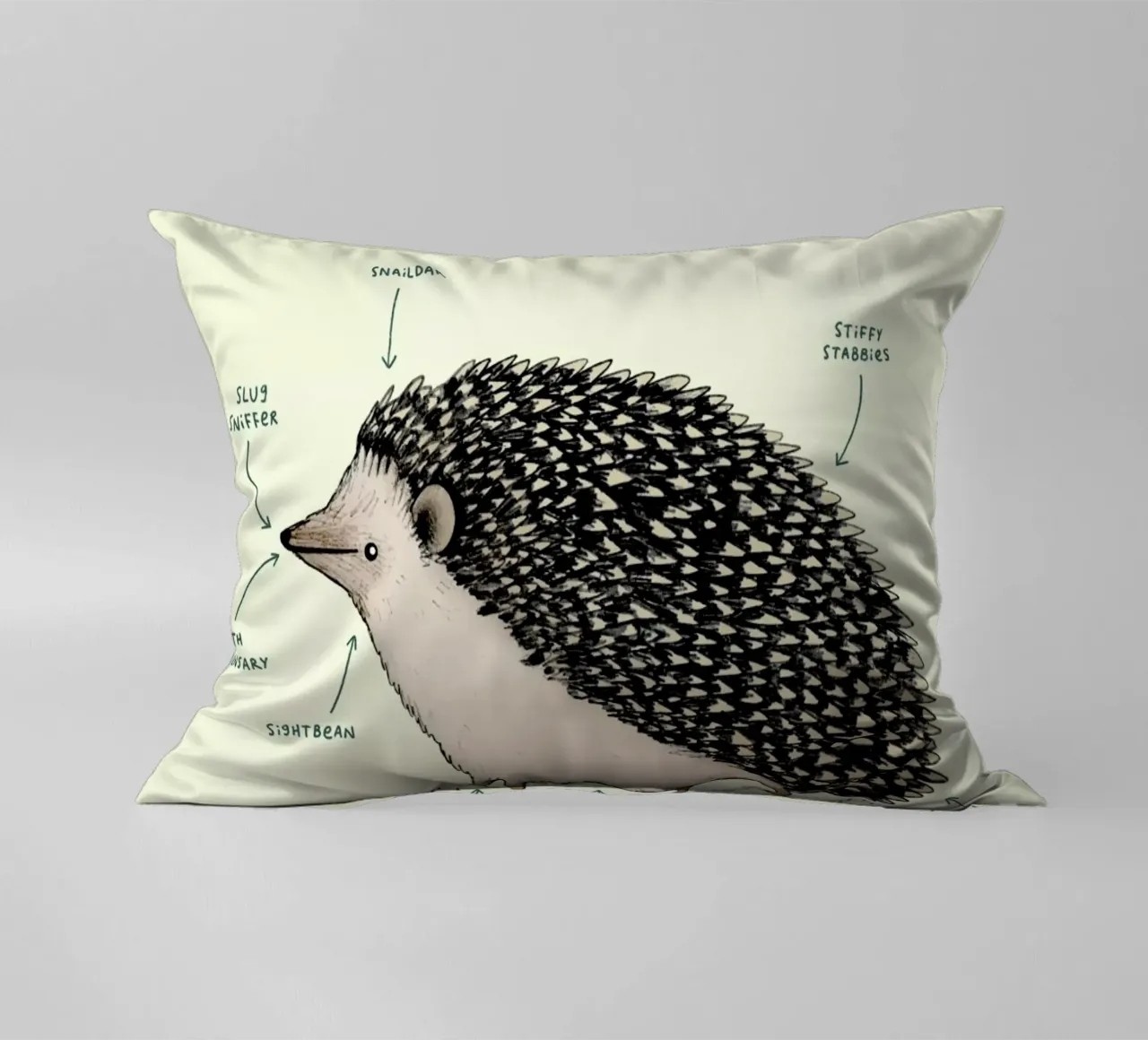 Anatomy Of A Hedgehog cuscino da Sophie Corrigan