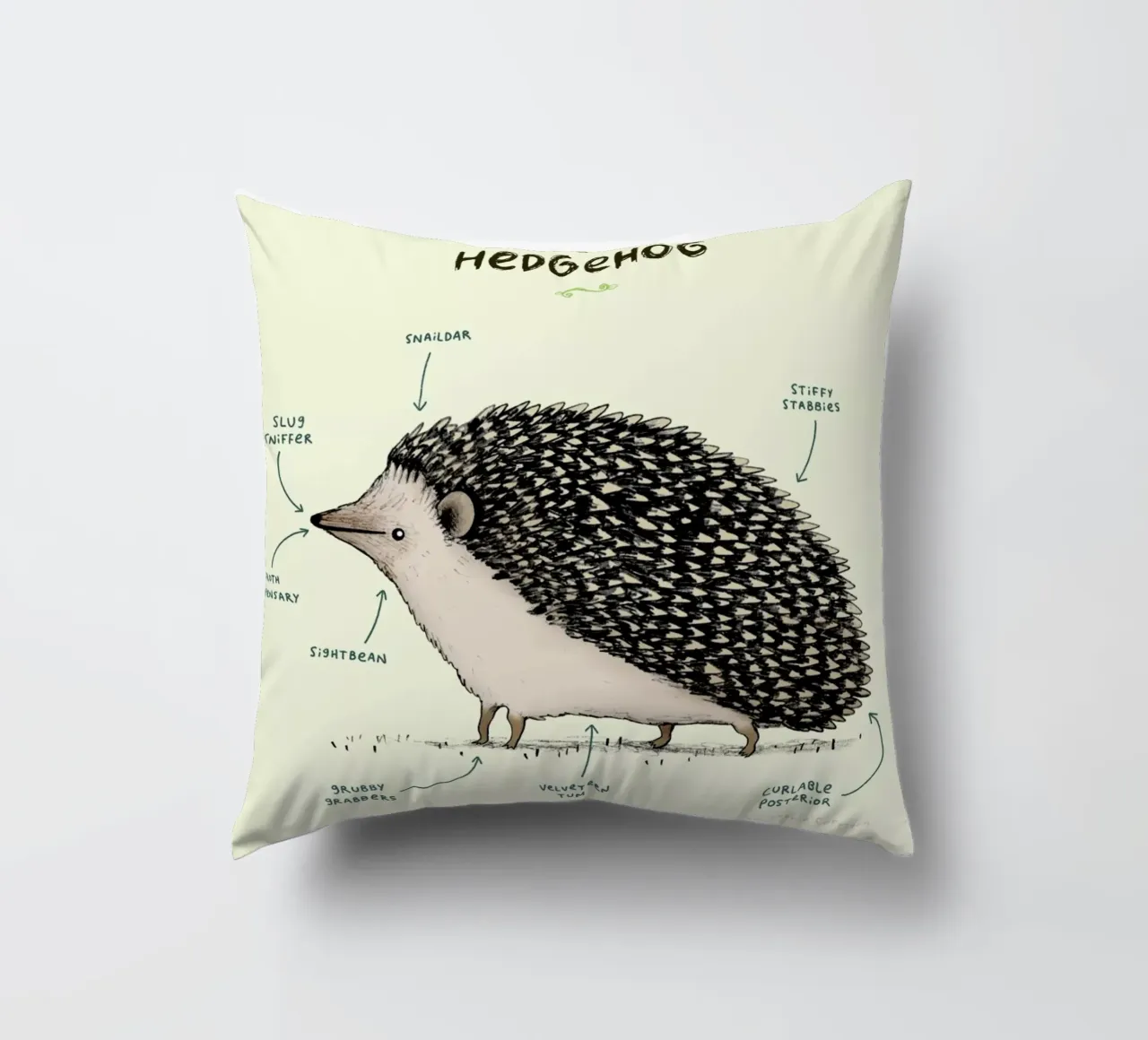 Anatomy Of A Hedgehog cuscino da Sophie Corrigan