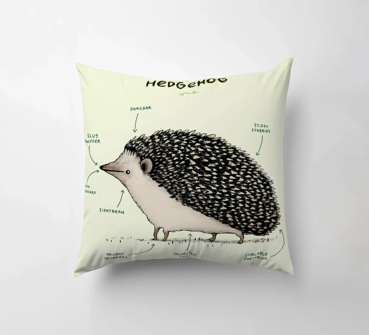 Anatomy Of A Hedgehog cuscino da Sophie Corrigan