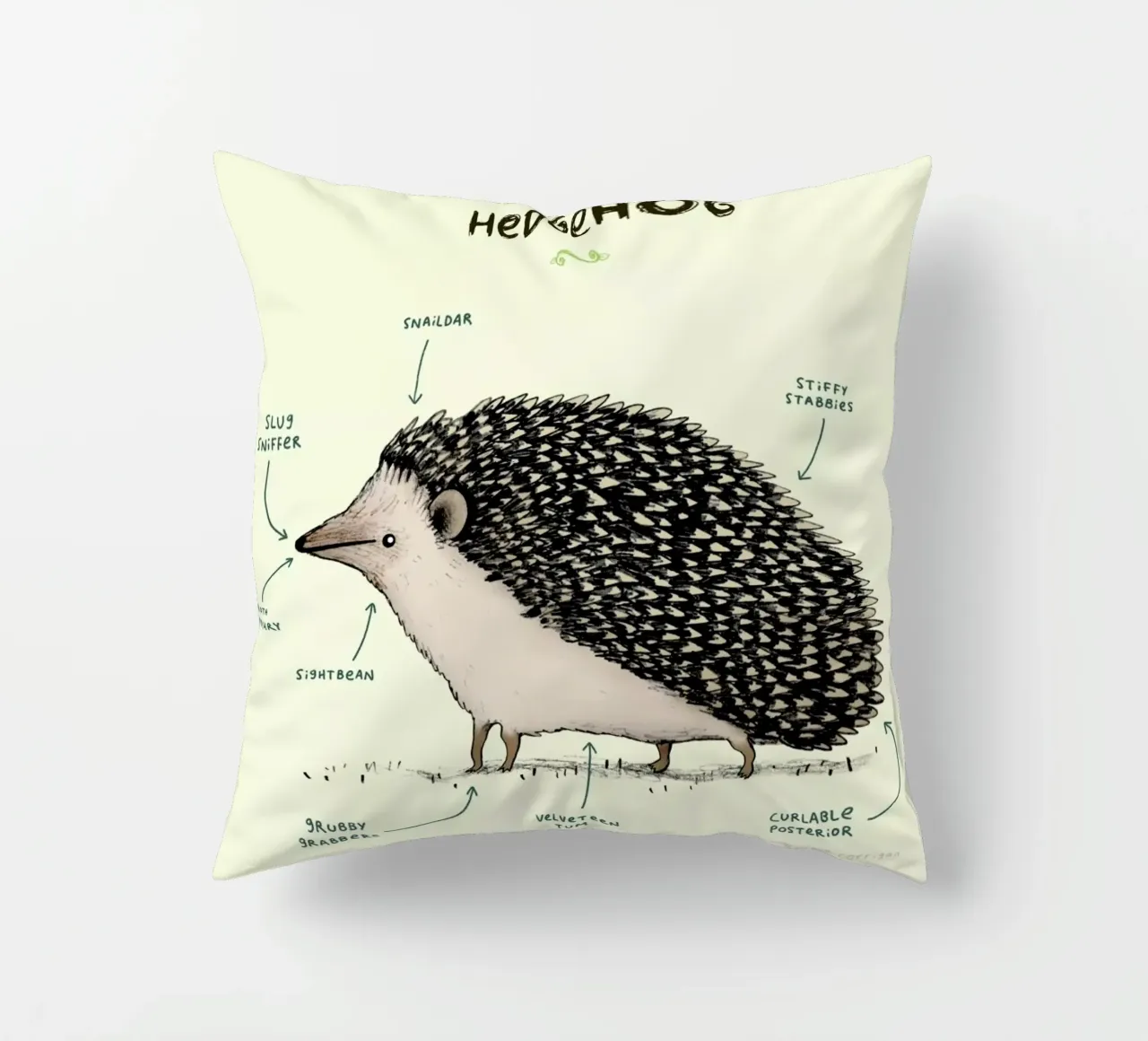 Anatomy Of A Hedgehog cuscino da Sophie Corrigan