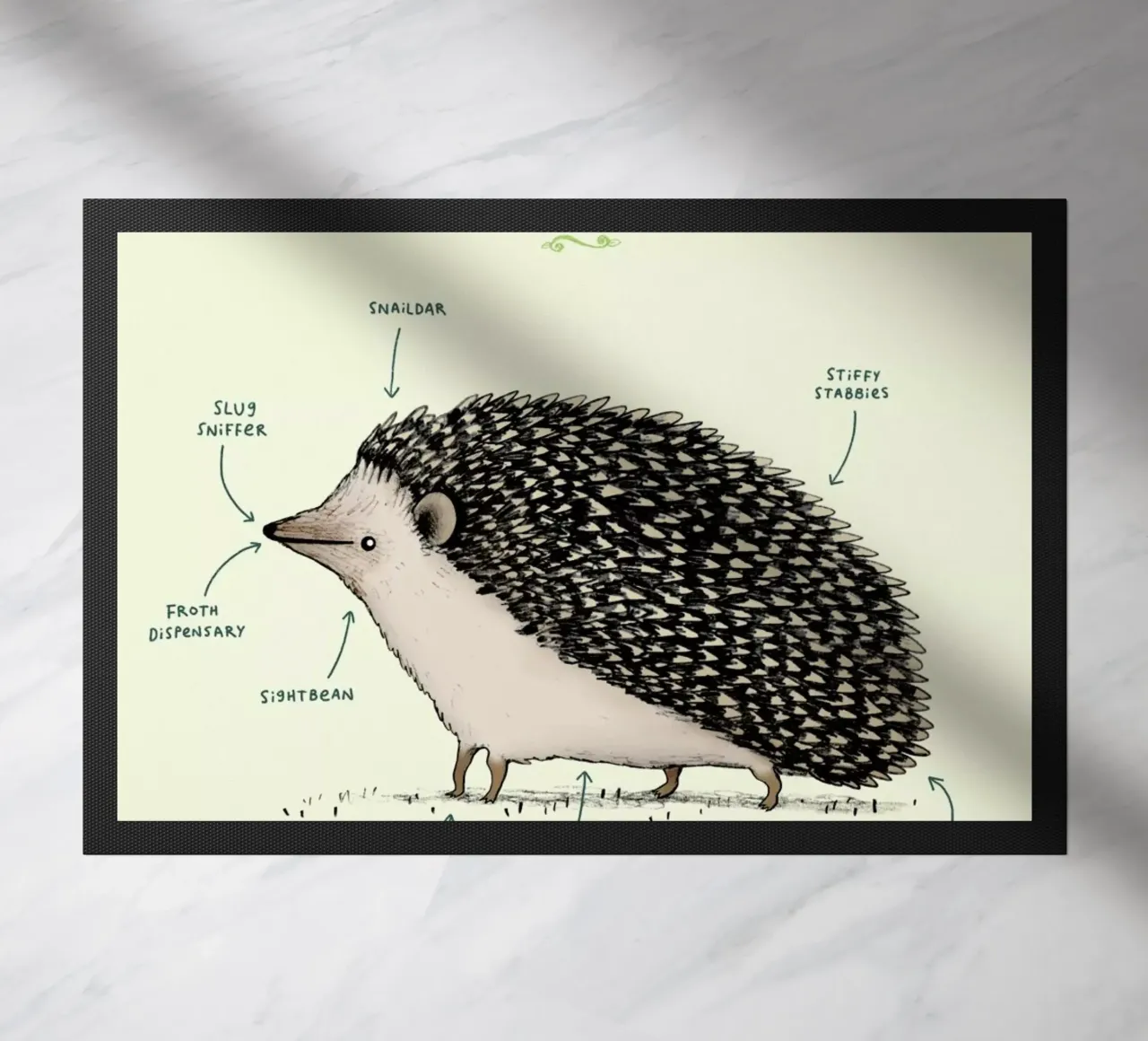 Anatomy Of A Hedgehog zerbino da Sophie Corrigan