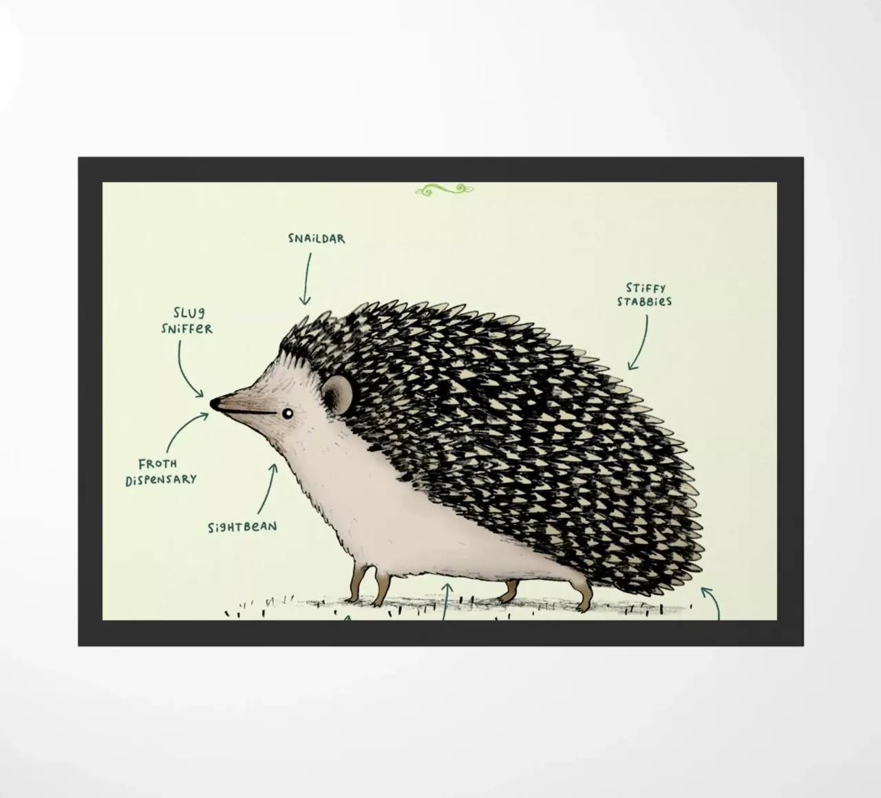 Anatomy Of A Hedgehog zerbino da Sophie Corrigan