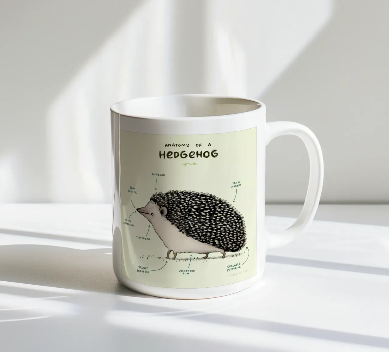Anatomy Of A Hedgehog tazza in ceramica da Sophie Corrigan