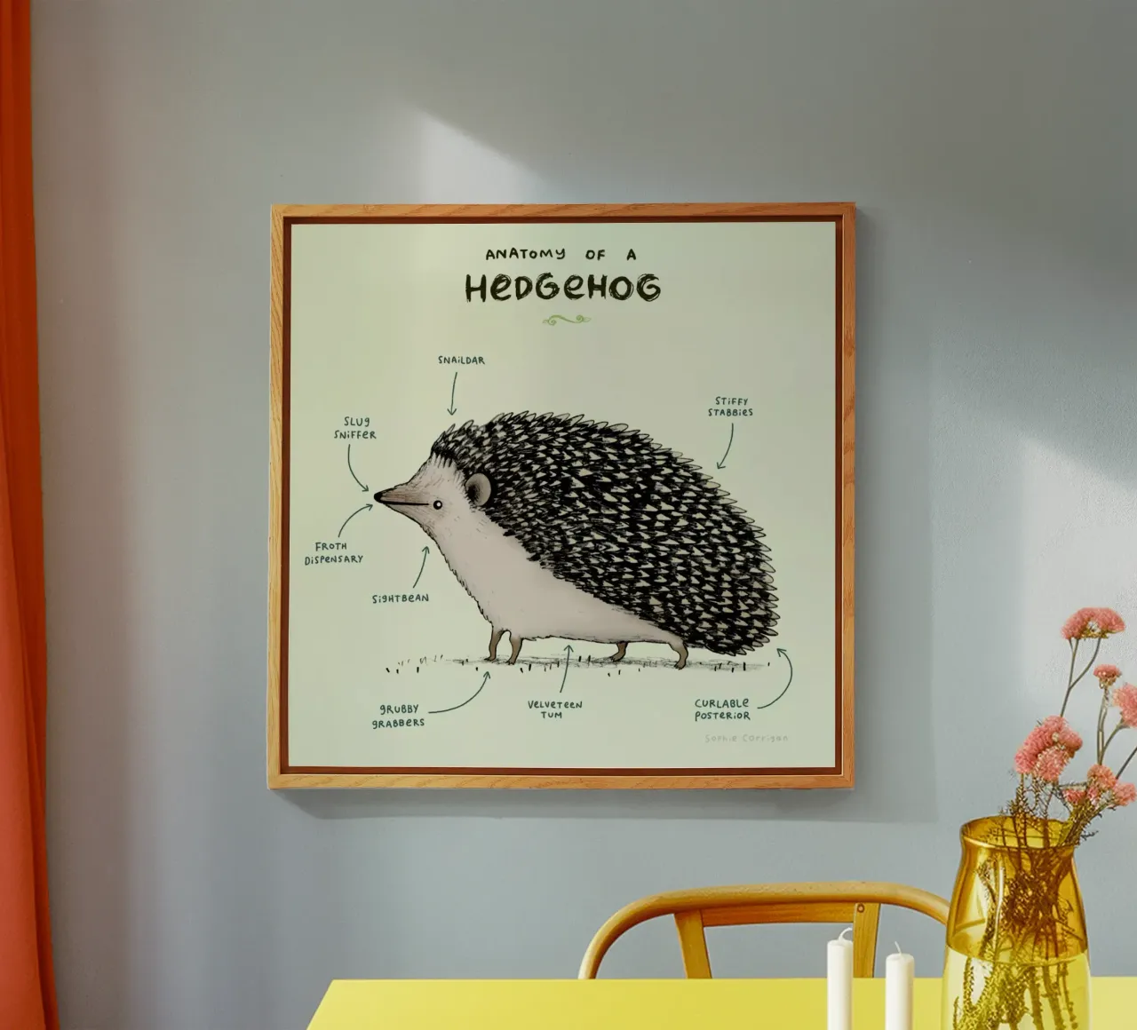 Anatomy Of A Hedgehog plexiglass da Sophie Corrigan