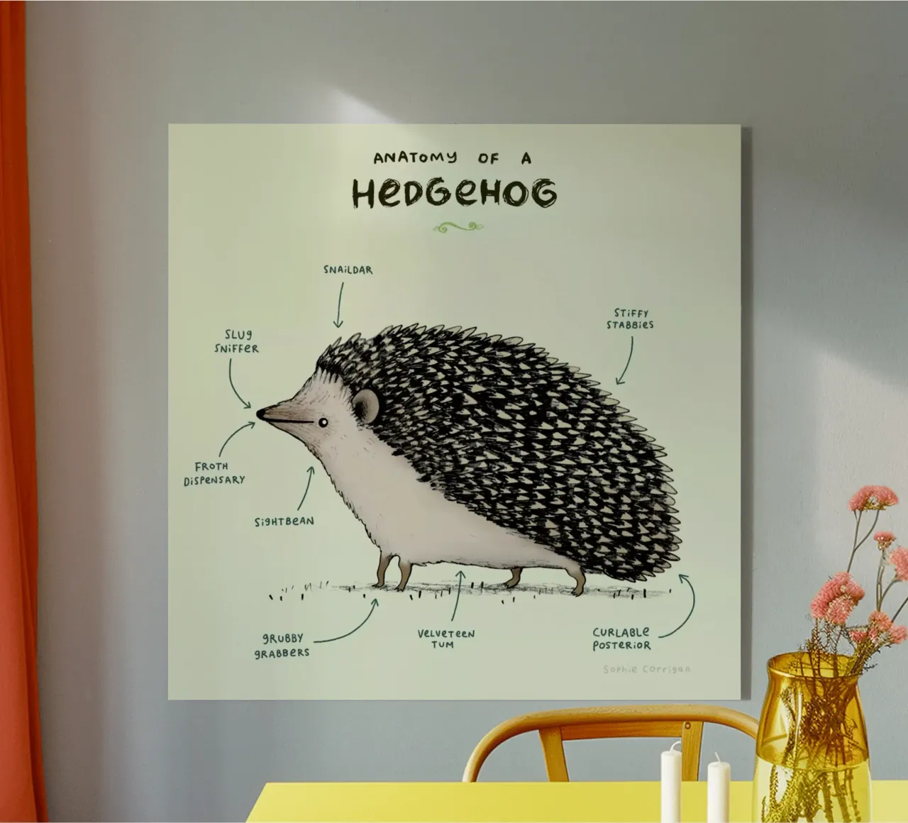 Anatomy Of A Hedgehog plexiglass da Sophie Corrigan