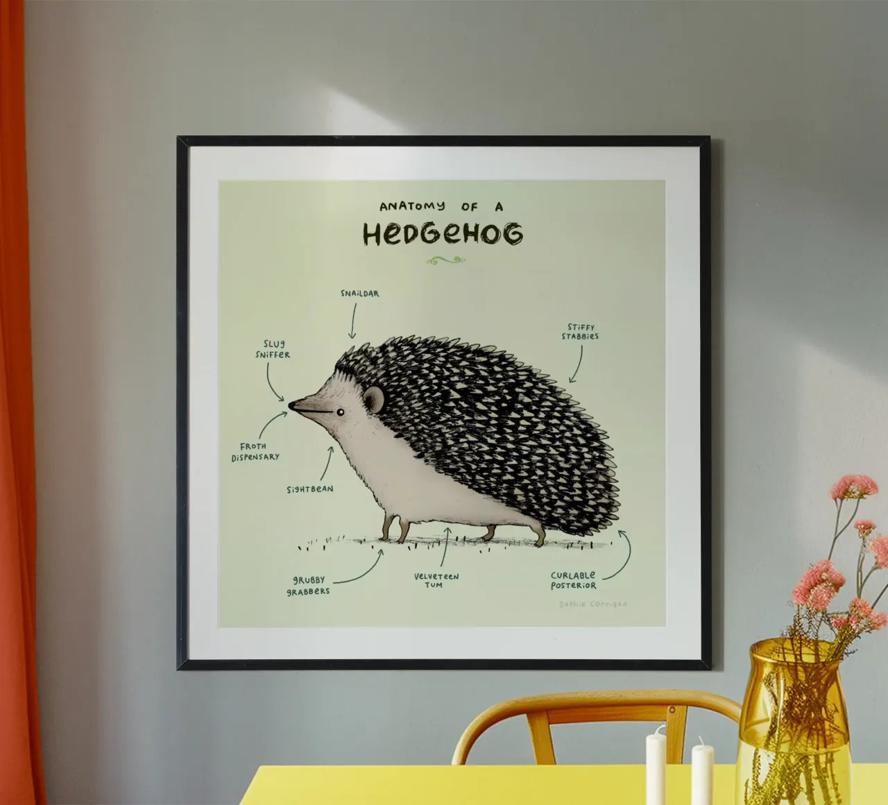 Anatomy Of A Hedgehog carta hahnemühle da Sophie Corrigan