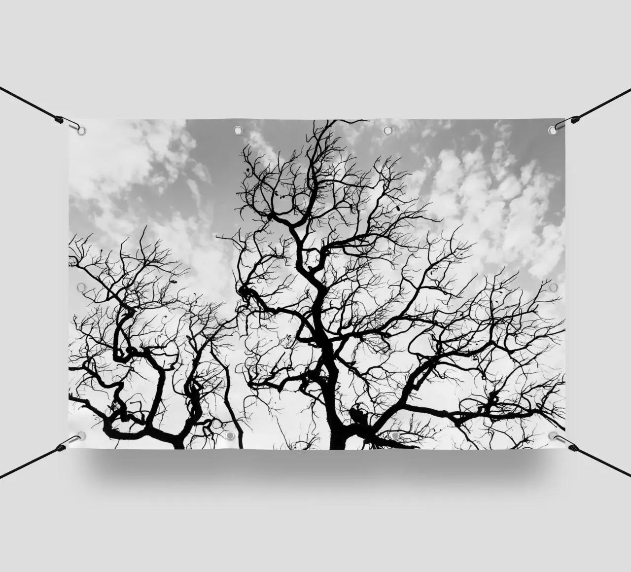 Black and white African tree telo in pvc da photolovers