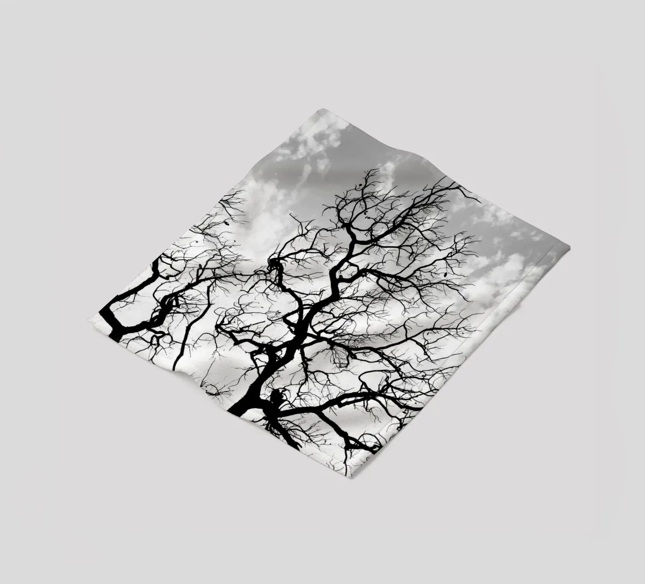 Black and white African tree coperta in pile da photolovers