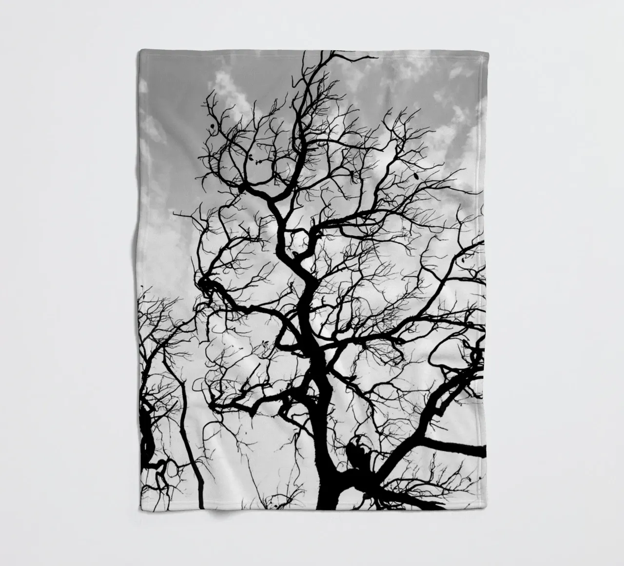 Black and white African tree coperta in pile da photolovers