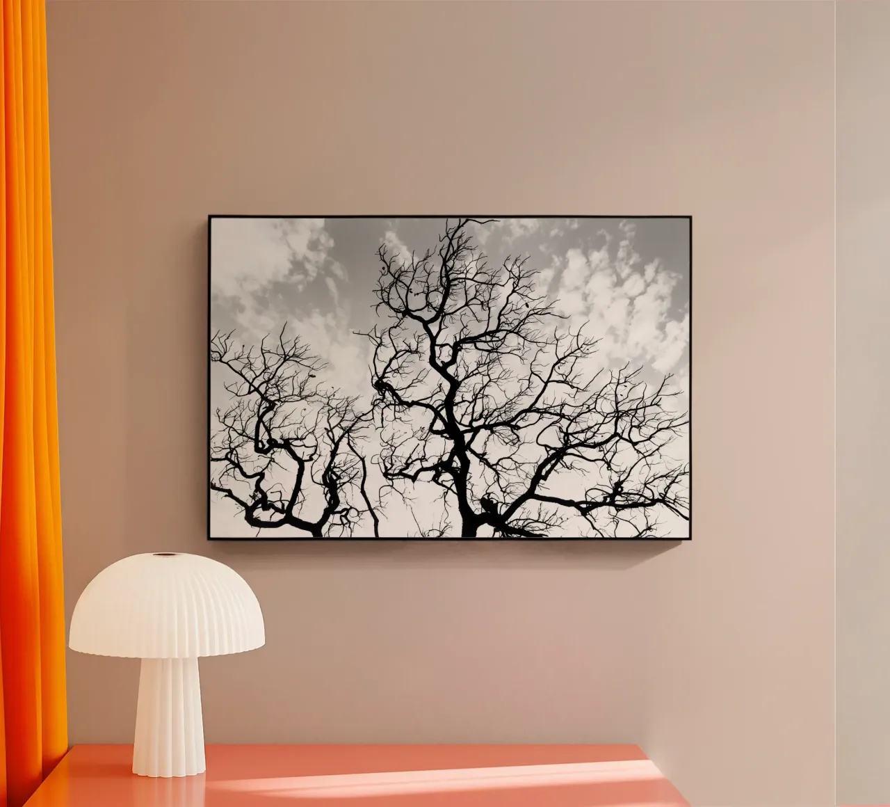 Black and white African tree plexiglass da photolovers