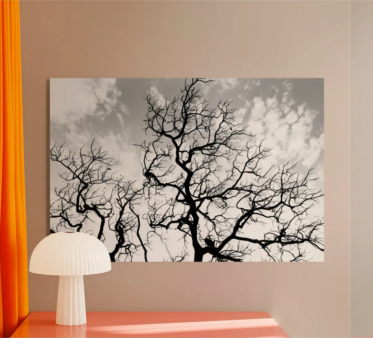 Black and white African tree plexiglass da photolovers
