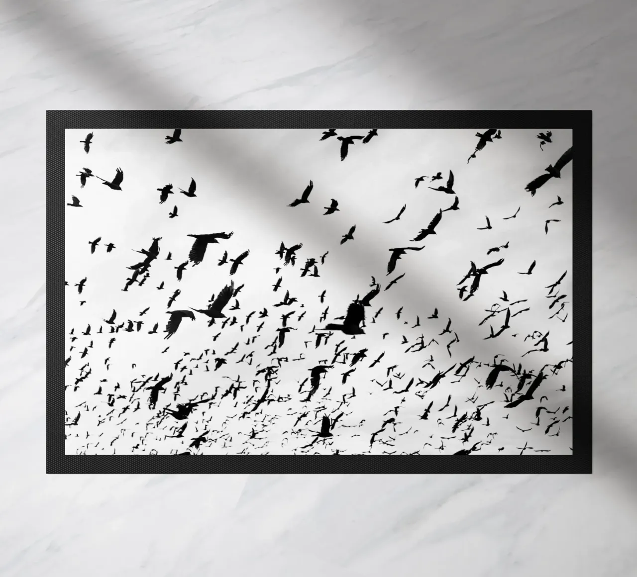 Birds in the Sky zerbino da photolovers