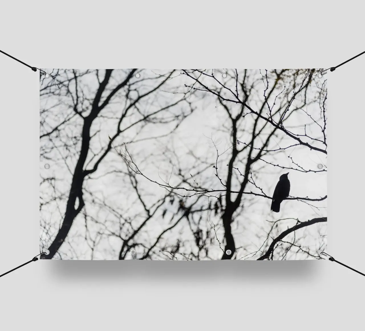 Bird in a tree telo in pvc da photolovers