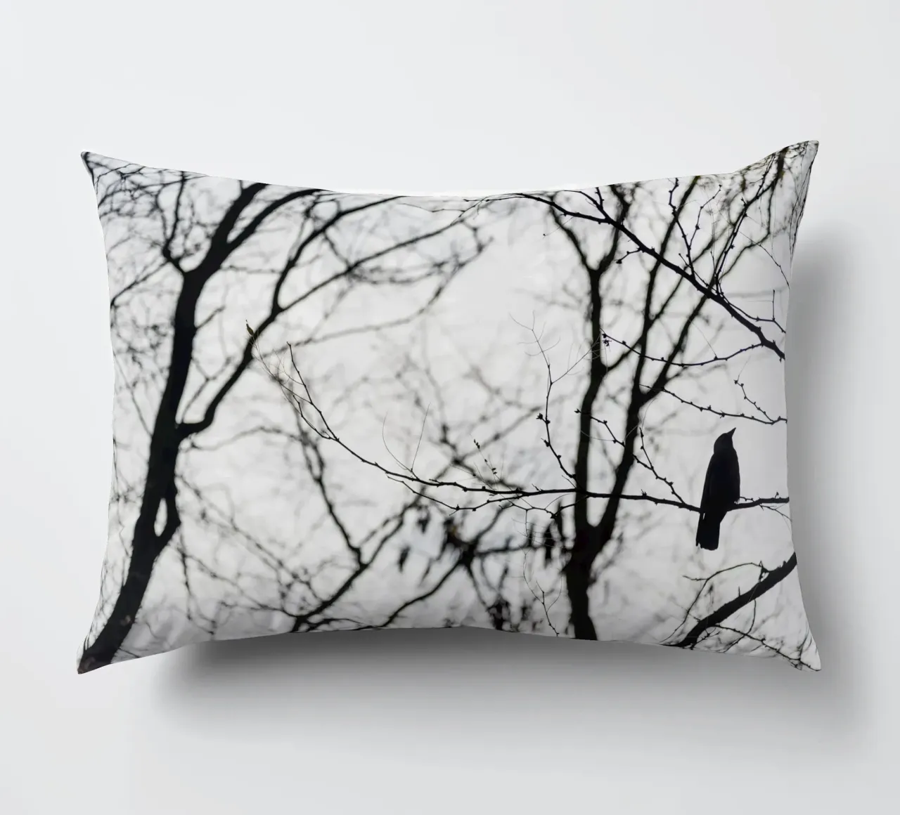 Bird in a tree cuscino da photolovers