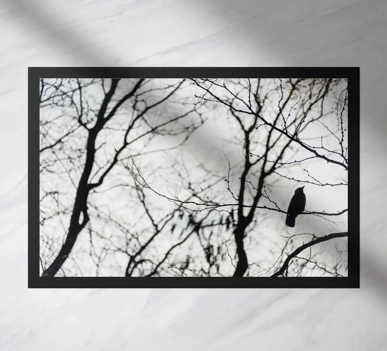 Bird in a tree zerbino da photolovers